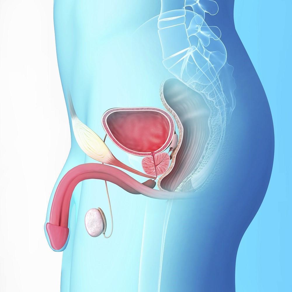 prostata ingrossata dopo intervento